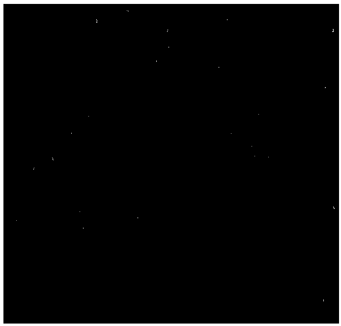 Preparation method of lead-doped indium iodide polycrystalline film