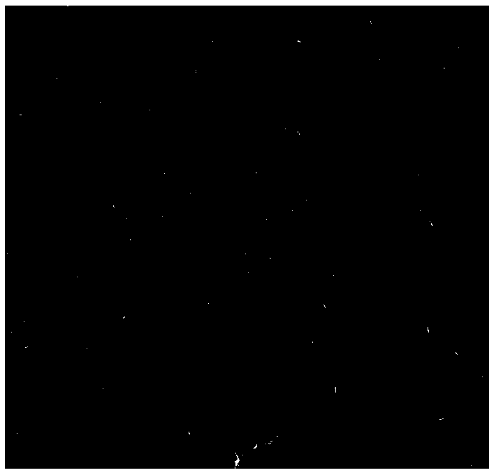 Preparation method of lead-doped indium iodide polycrystalline film