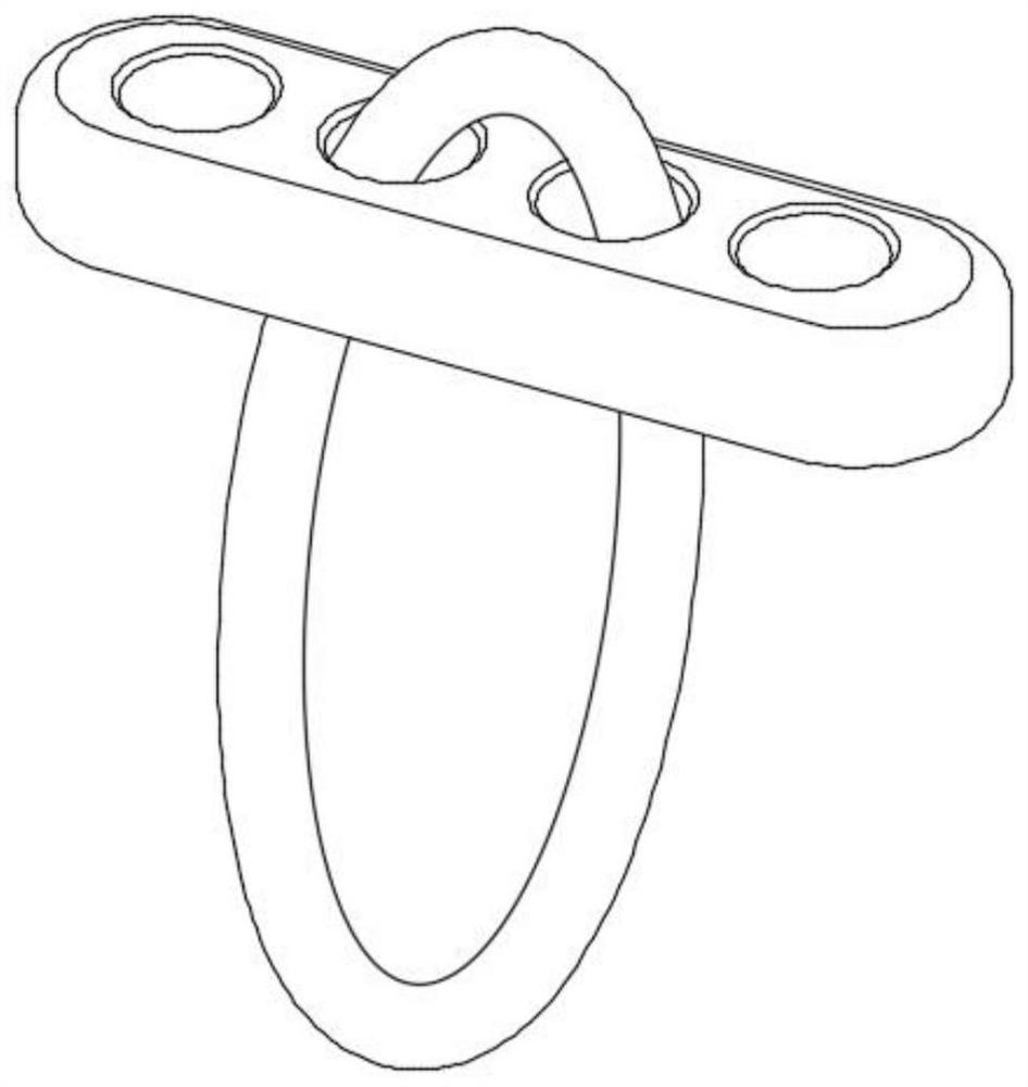 Loop and manufacturing method thereof