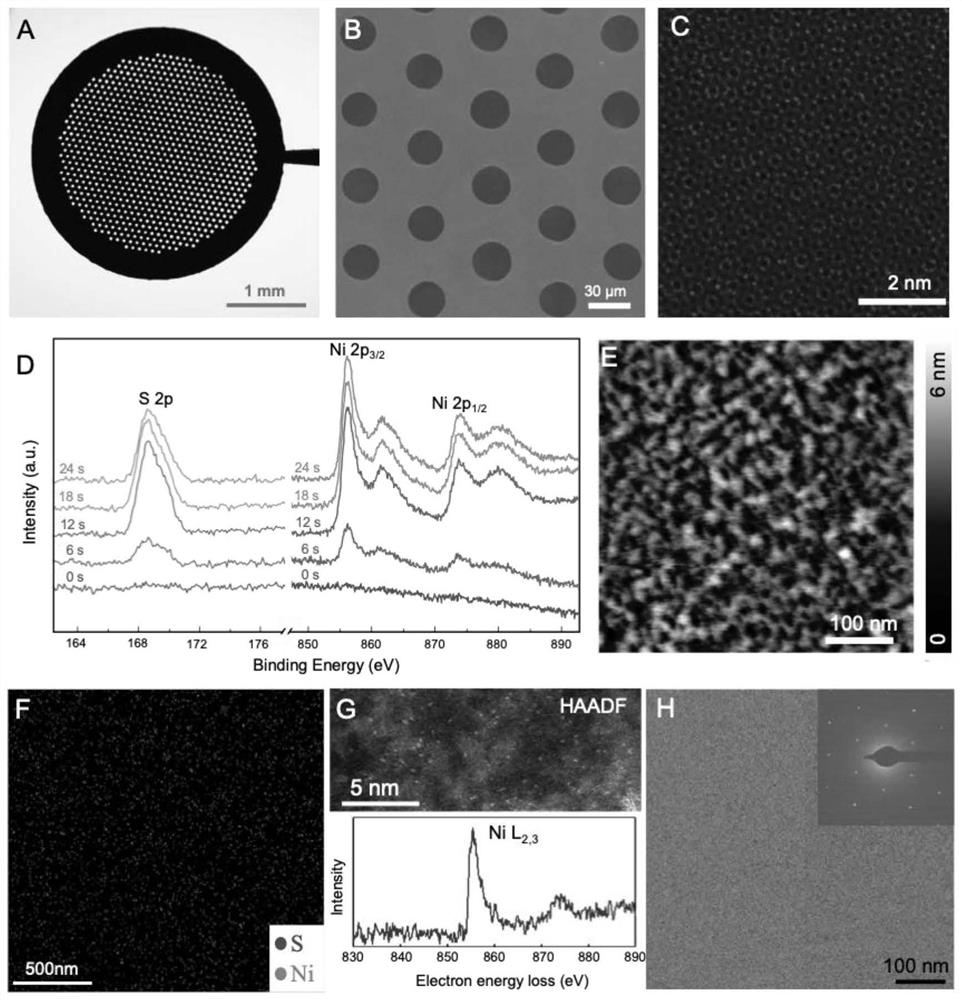 Application of multifunctional graphene grid in three-dimensional reconstruction of cryoelectron microscope
