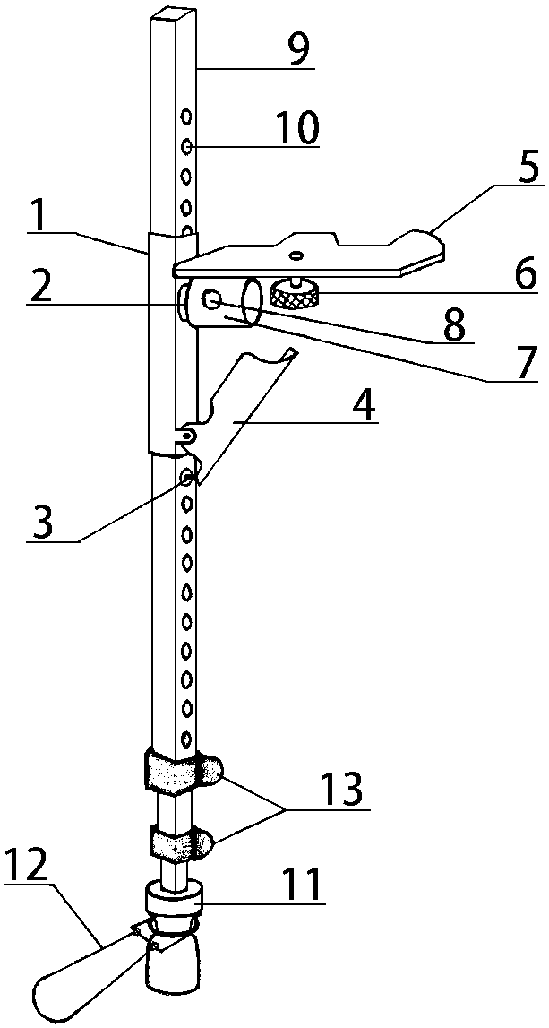 Multifunctional paraxial unipod