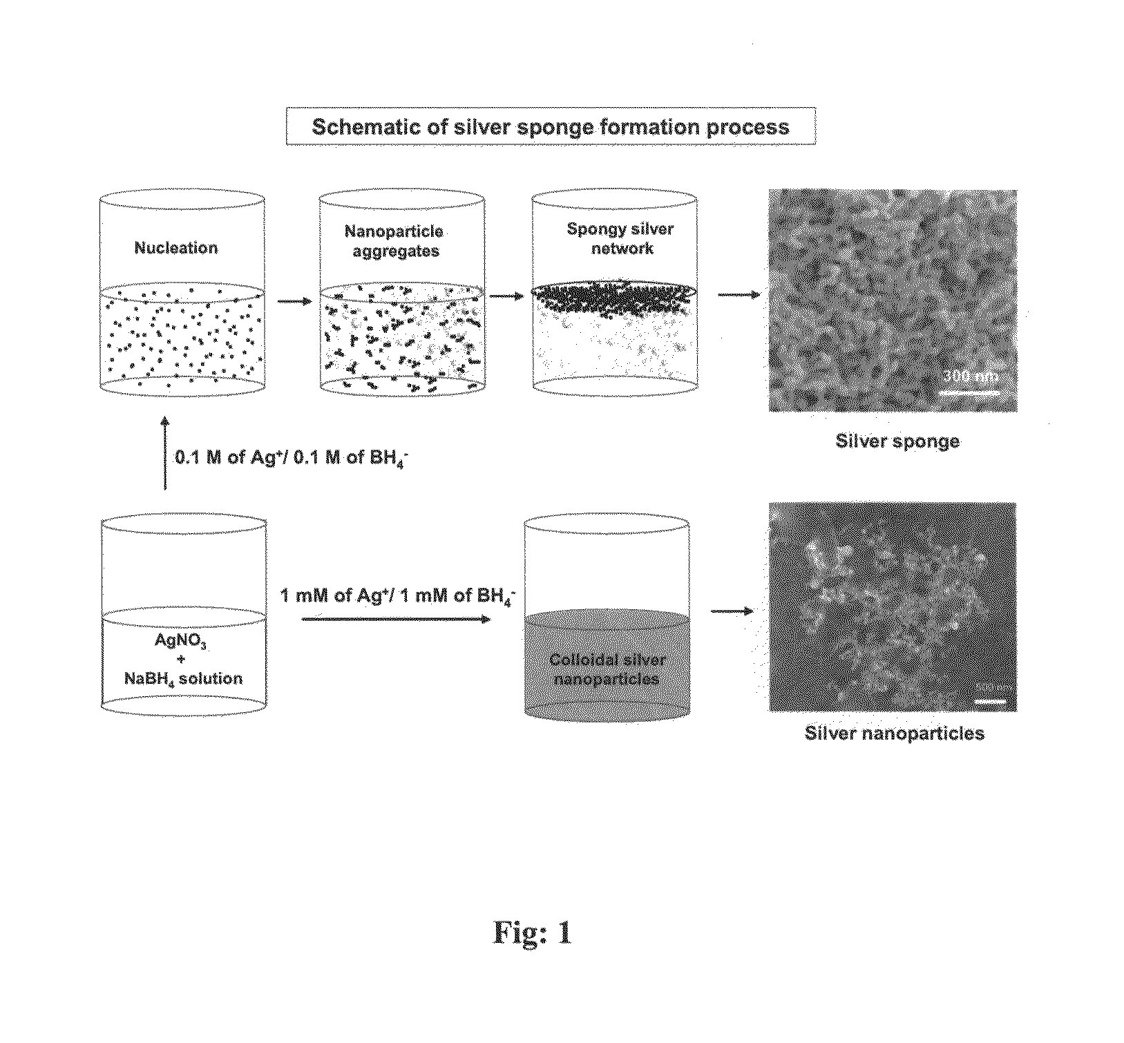 Template Free and Polymer Free Metal, Nanosponge and a Process Thereof