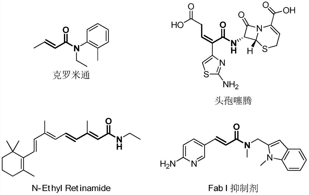 2-Alkylthioenamide derivatives and synthetic method thereof