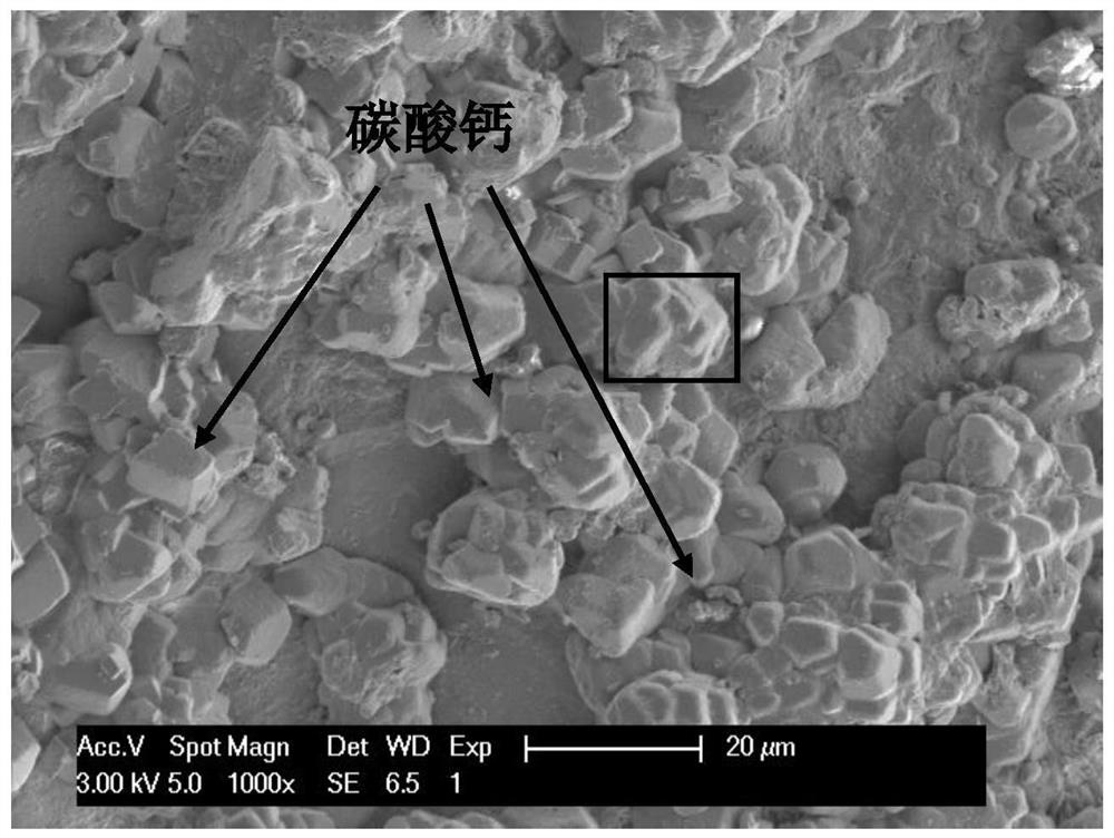 Method of Improving the Mechanical Properties of Microbial Cemented Sand and Soil Using Protein Cementitious Materials