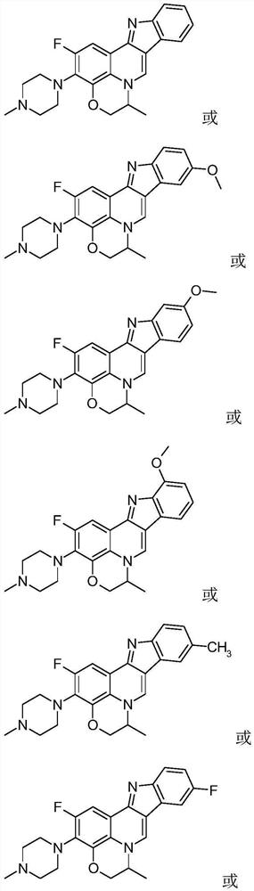 Isorcryptolepine analogue prepared by taking ofloxacin as raw material, and preparation method and application thereof