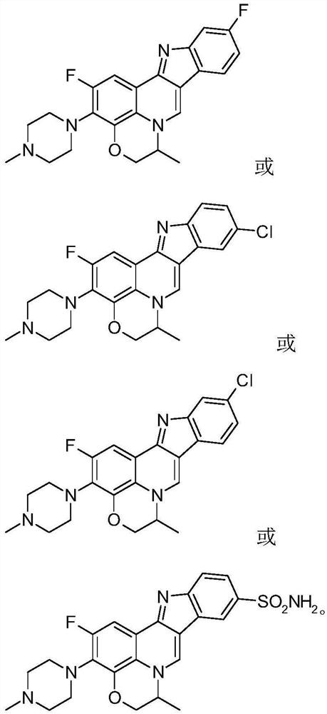 Isorcryptolepine analogue prepared by taking ofloxacin as raw material, and preparation method and application thereof
