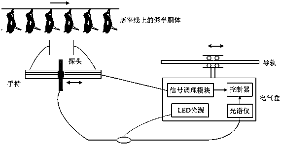 A non-destructive measurement system for fat/lean meat thickness of pork half-carcass based on near-infrared light