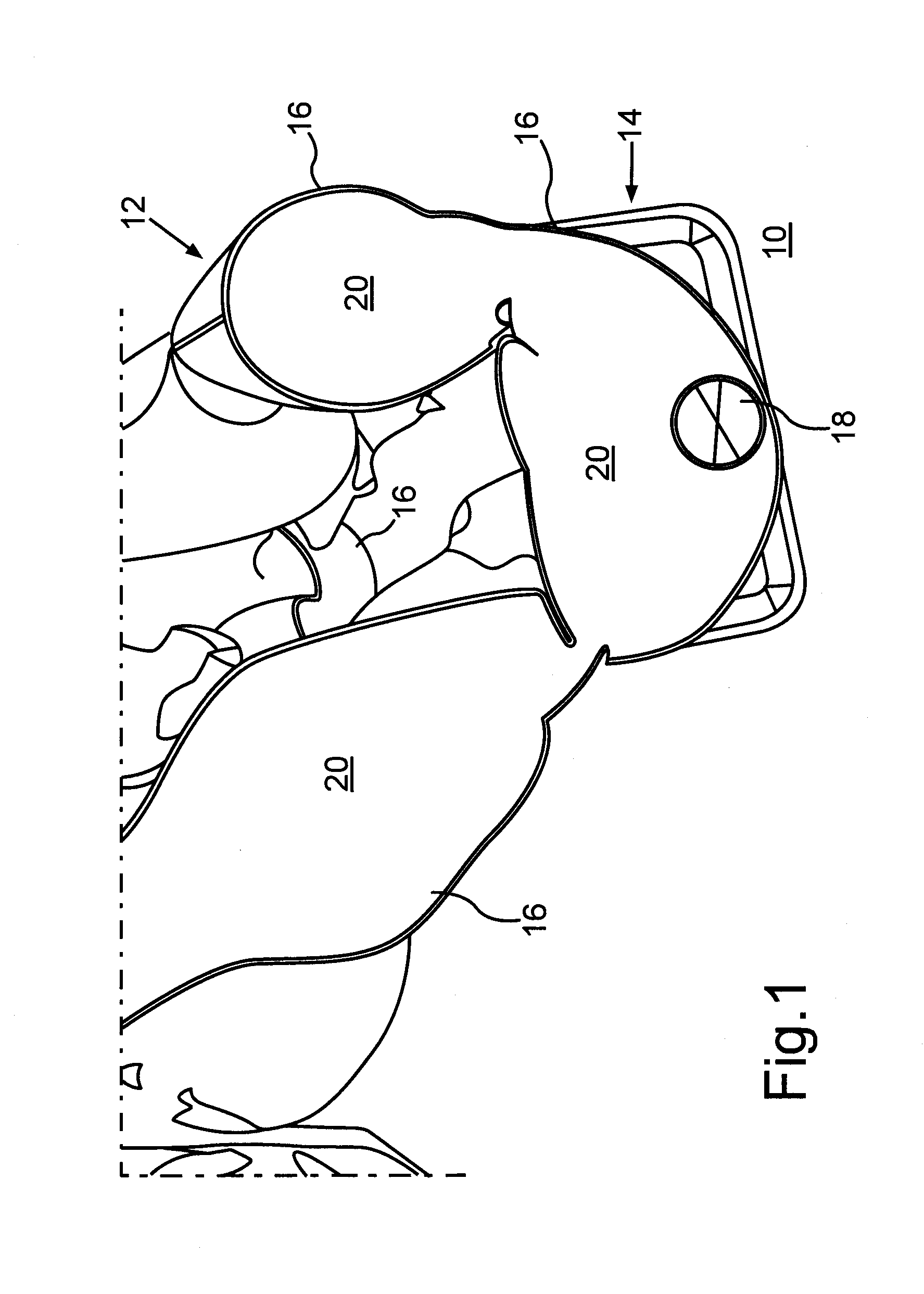 Restraint device, in particular for a motor vehicle
