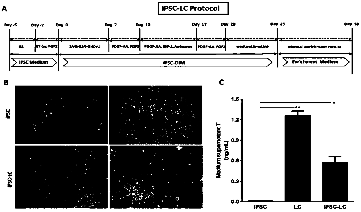 Method for differentiating inducible pluripotent stem cells into testicular interstitial cells by small molecule induction