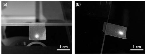 Blue phase liquid crystal film, and preparation method and application thereof