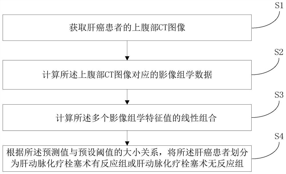 A liver cancer radiomics data processing method, system, device and storage medium