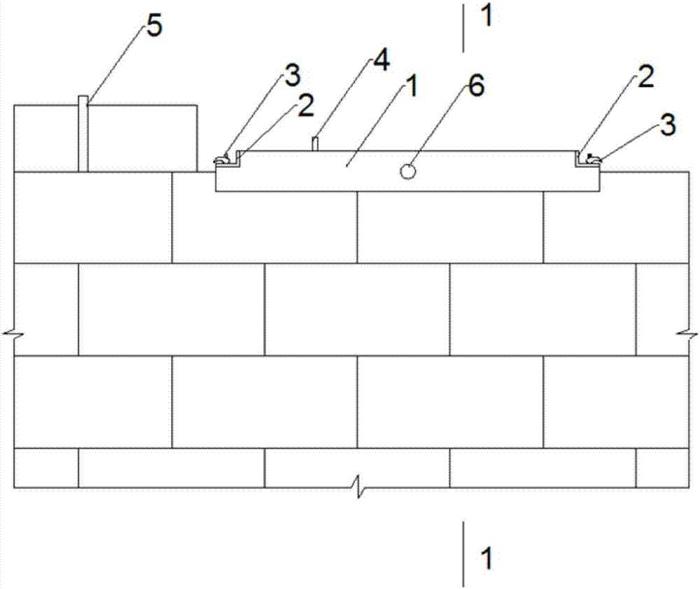 Laying device and using method thereof