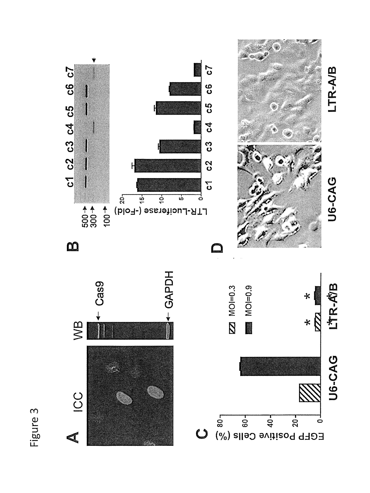Methods and compositions for rna-guided treatment of HIV infection