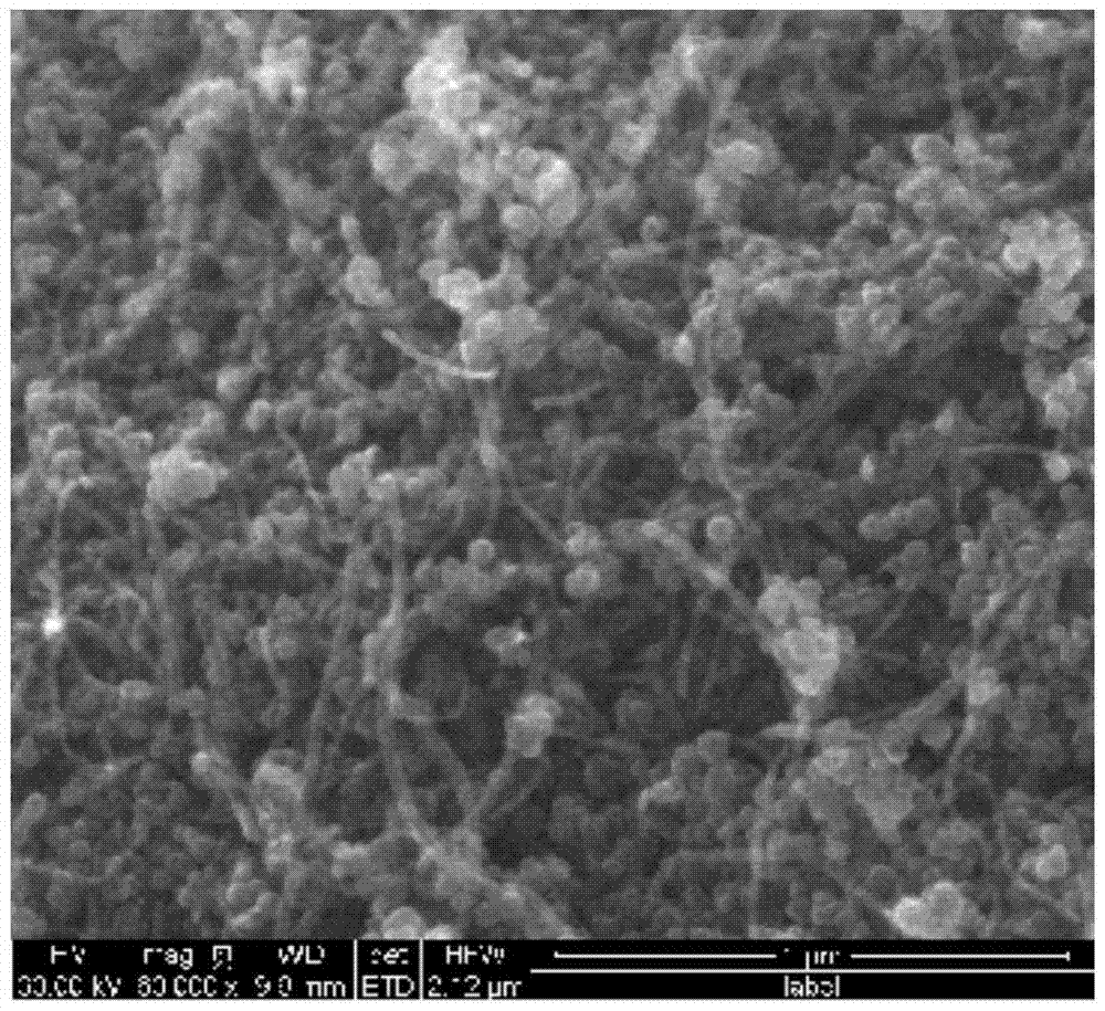 Renewable amino-functionalized magnetic carbon nanocomposite material and its preparation method and application