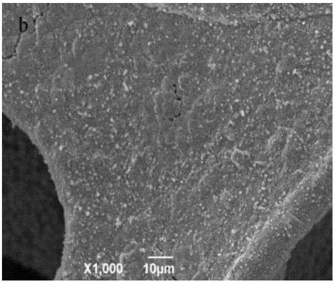 Preparation method and application of cuprous-oxide-loaded-on-foam-nickel composite graphene oxide photocatalyst