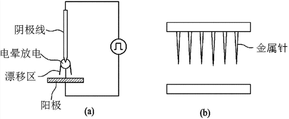 Dielectric barrier discharge-type electrode structure for generating plasma having conductive body protrusion on electrodes