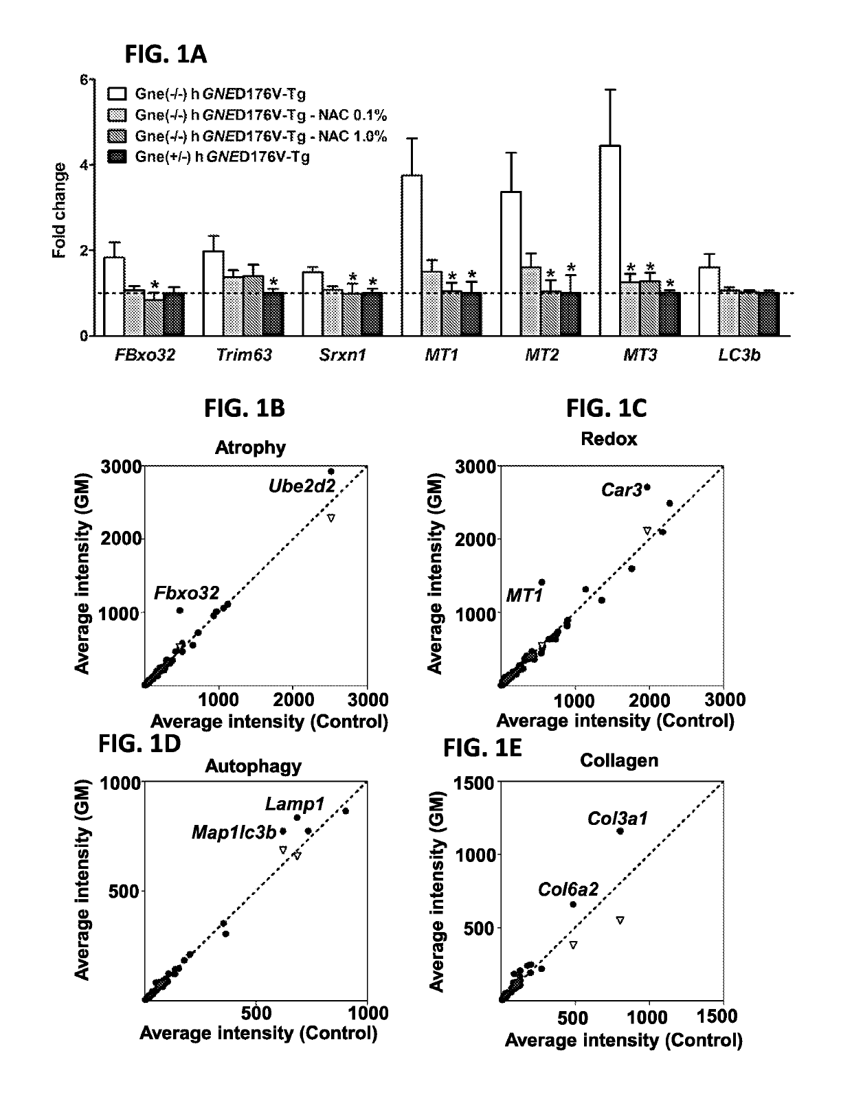 Sialylation-increasing therapies for diseases associated with oxidative stress