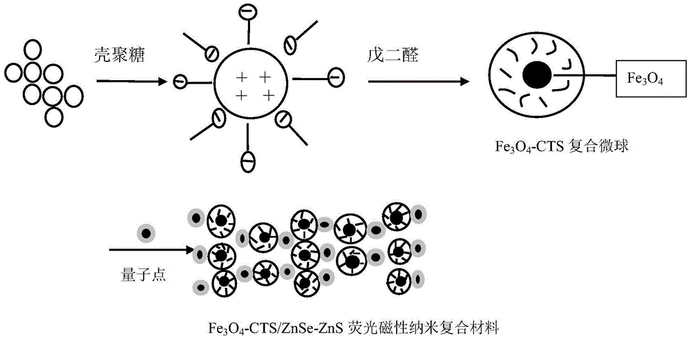 A fluorescent magnetic nanocomposite material and its preparation method