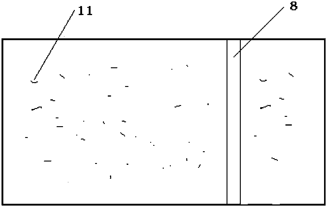 Safety paper, safety paper manufacturing method and movement synchronizing device for strip material