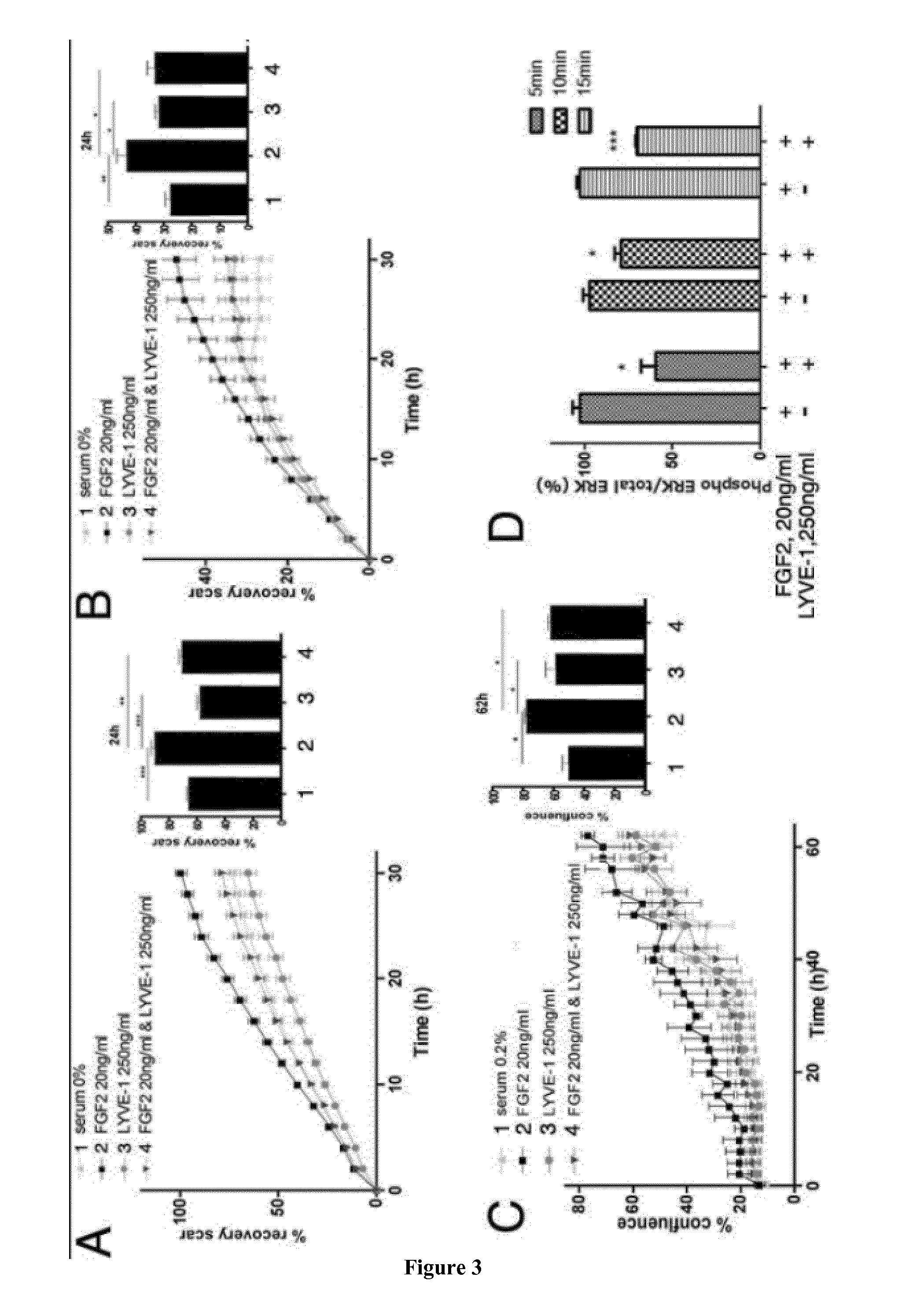 Lyve-1 antagonists for preventing or treating a pathological condition associated with lymphangiogenesis