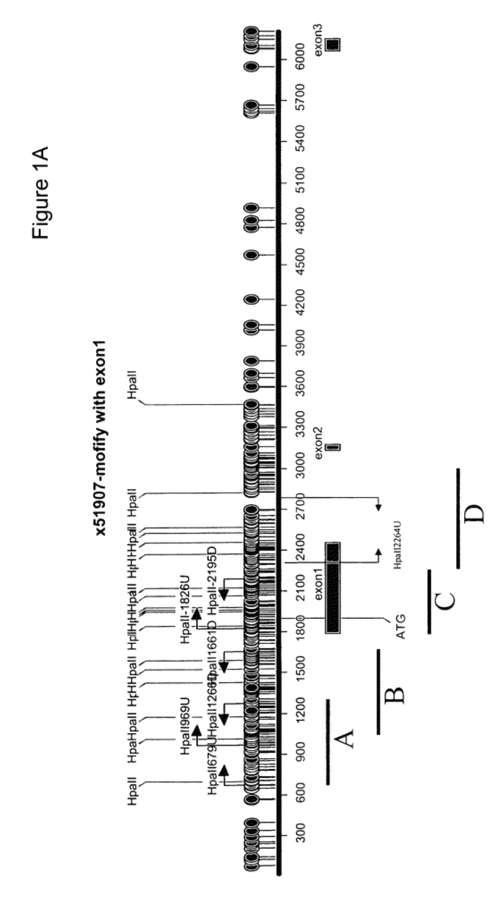 Methods and compositions for detecting gastrointestinal and other cancers