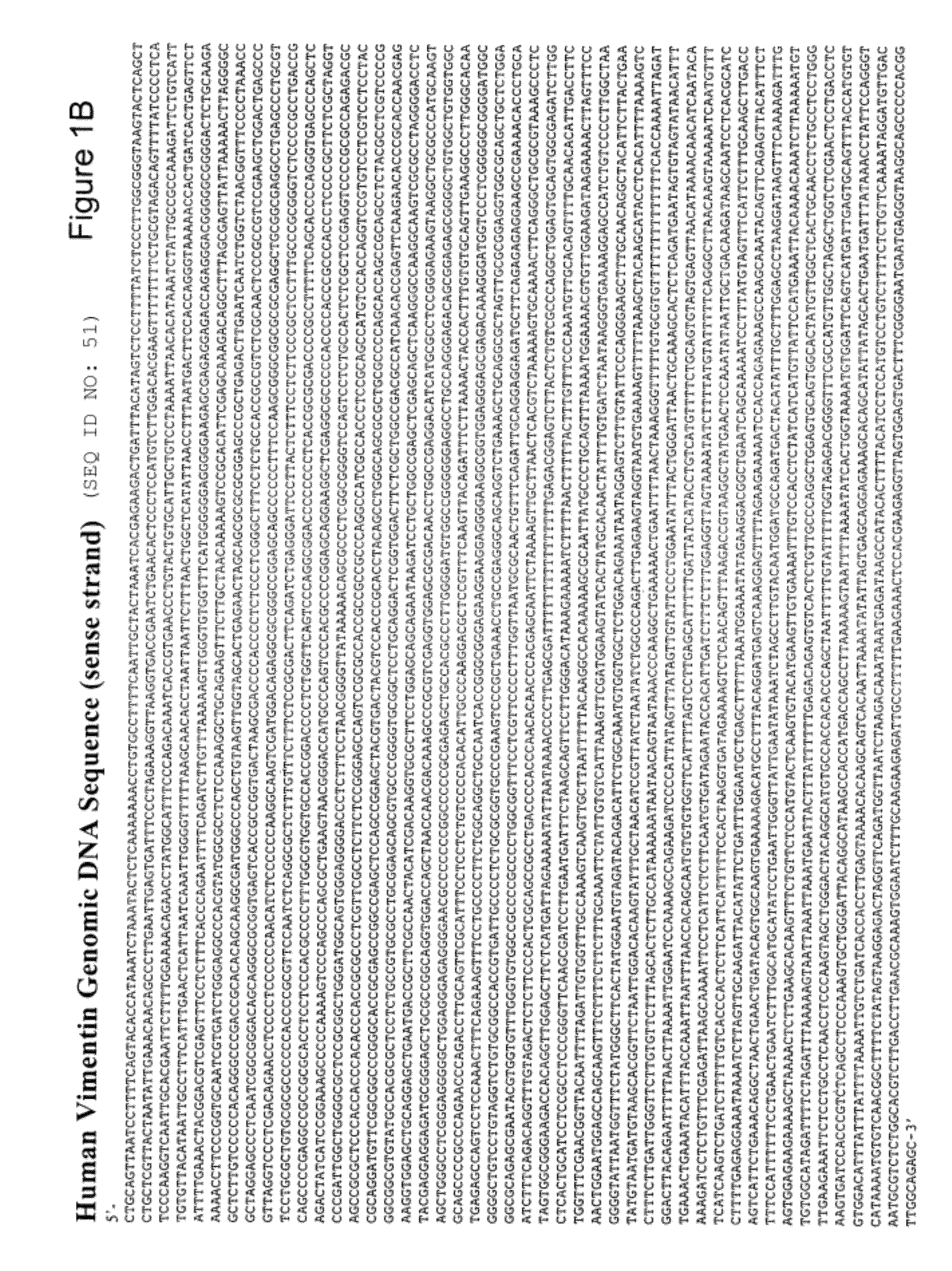 Methods and compositions for detecting gastrointestinal and other cancers