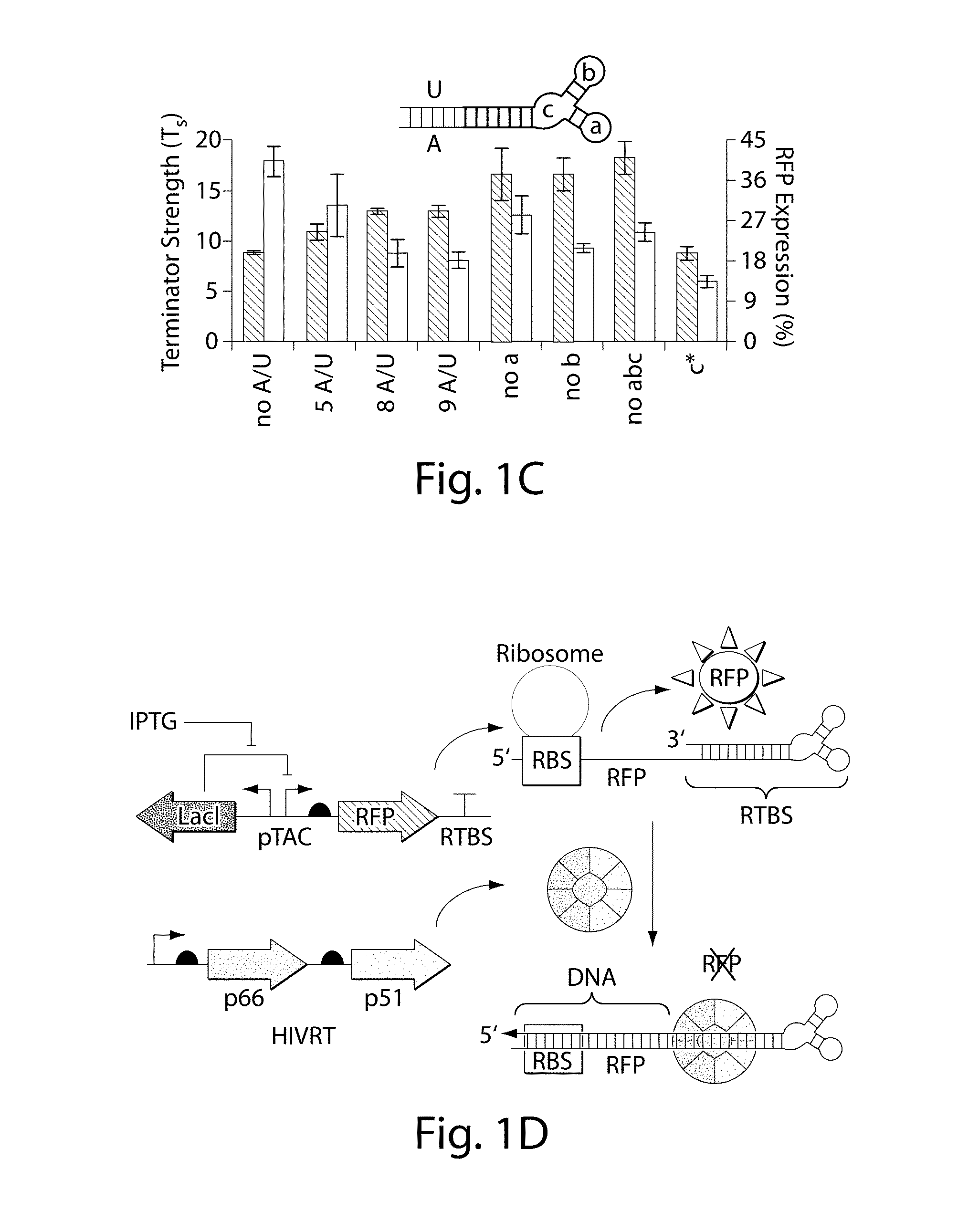 Engineering DNA assembly in vivo and methods of making and using the reverse transcriptase technology