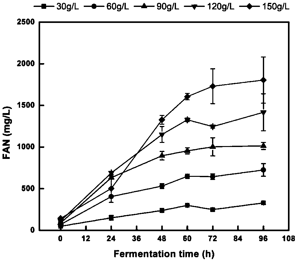 Strain for stably and efficiently hydrolyzing oil meal and application of strain