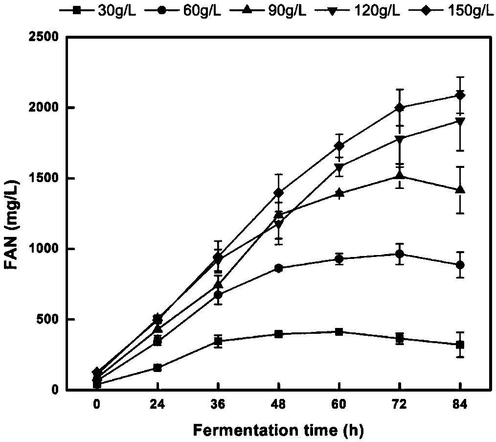 Strain for stably and efficiently hydrolyzing oil meal and application of strain