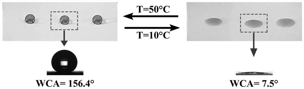 Super-hydrophobic paint with super-strong mechanical properties and preparation method thereof