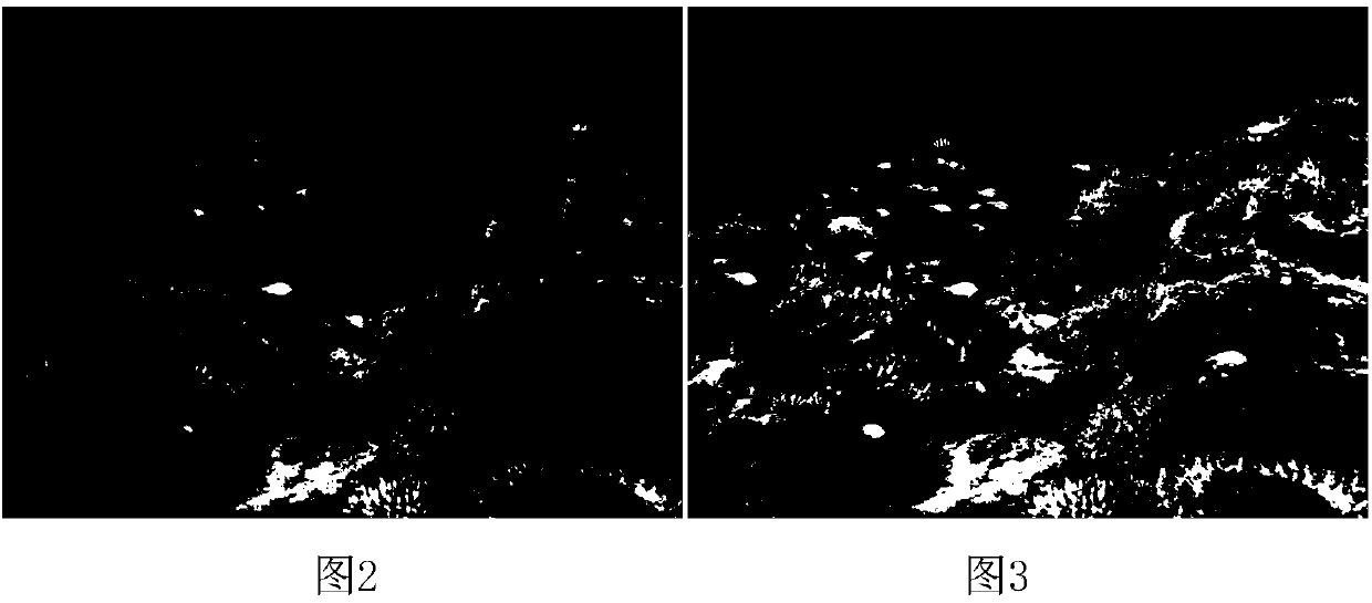 Underwater image quality improvement method based on multi-scale fusion
