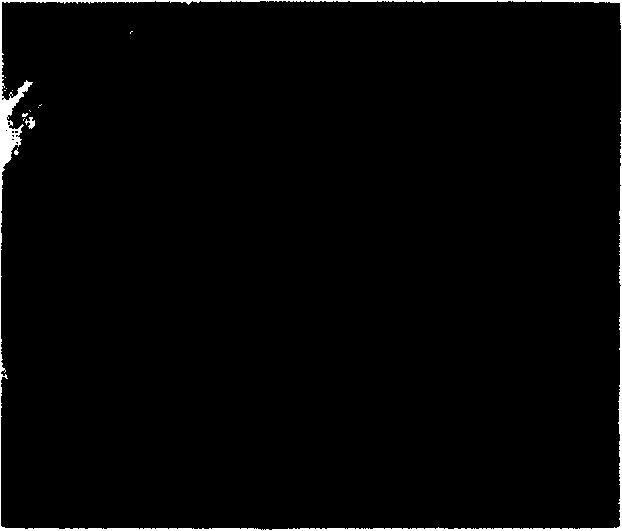 Process for preparing functional heat transfer surface