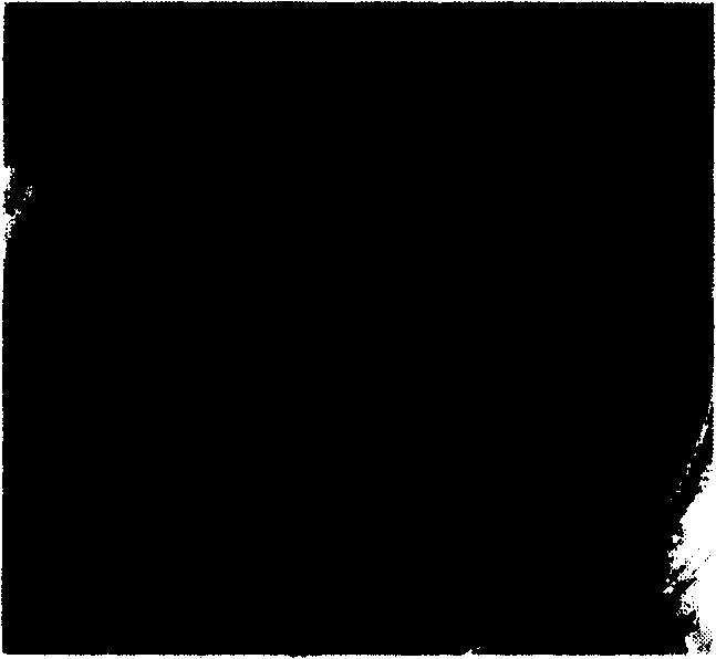 Process for preparing functional heat transfer surface