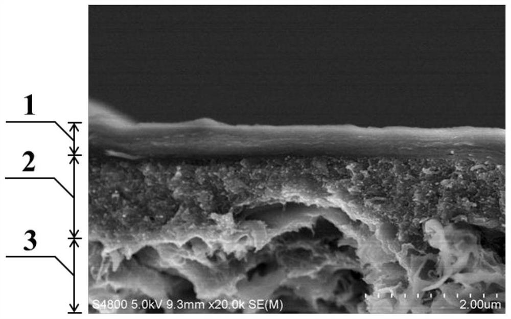 Preparation method and application method of graphene oxide/carbon nanotube asymmetric separation membrane
