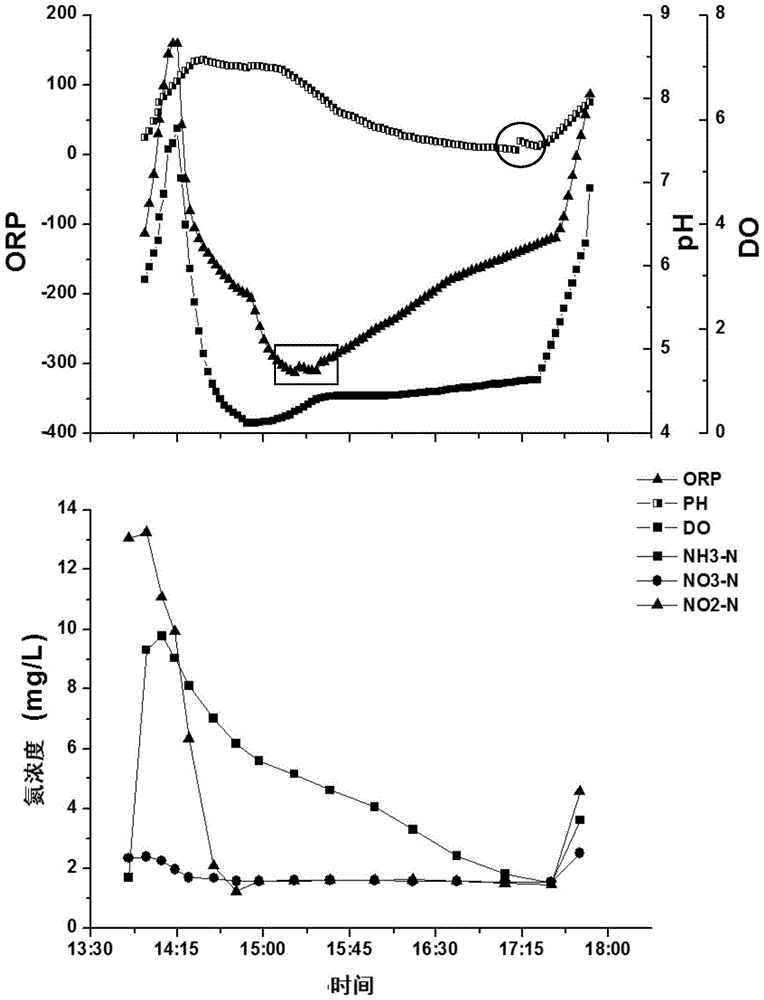 A device and method for treating high ammonia nitrogen wastewater