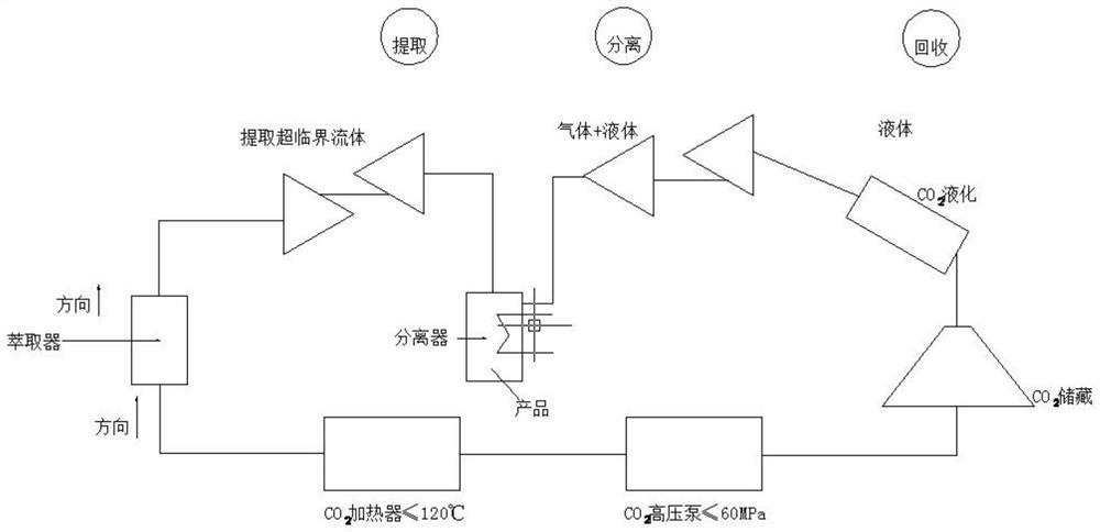 Preparation method of PET with light scattering porous micro-foaming structure and diffusion film