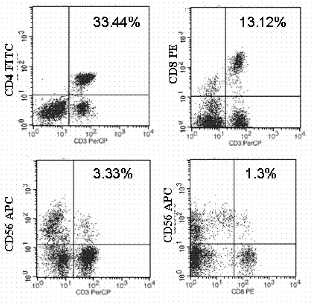 CD3 resistance/CD133 resistance bi-specific antibody and CIK (cytokine-induced killer) cells loaded by CD3 resistance/CD133 resistance bi-specific antibody