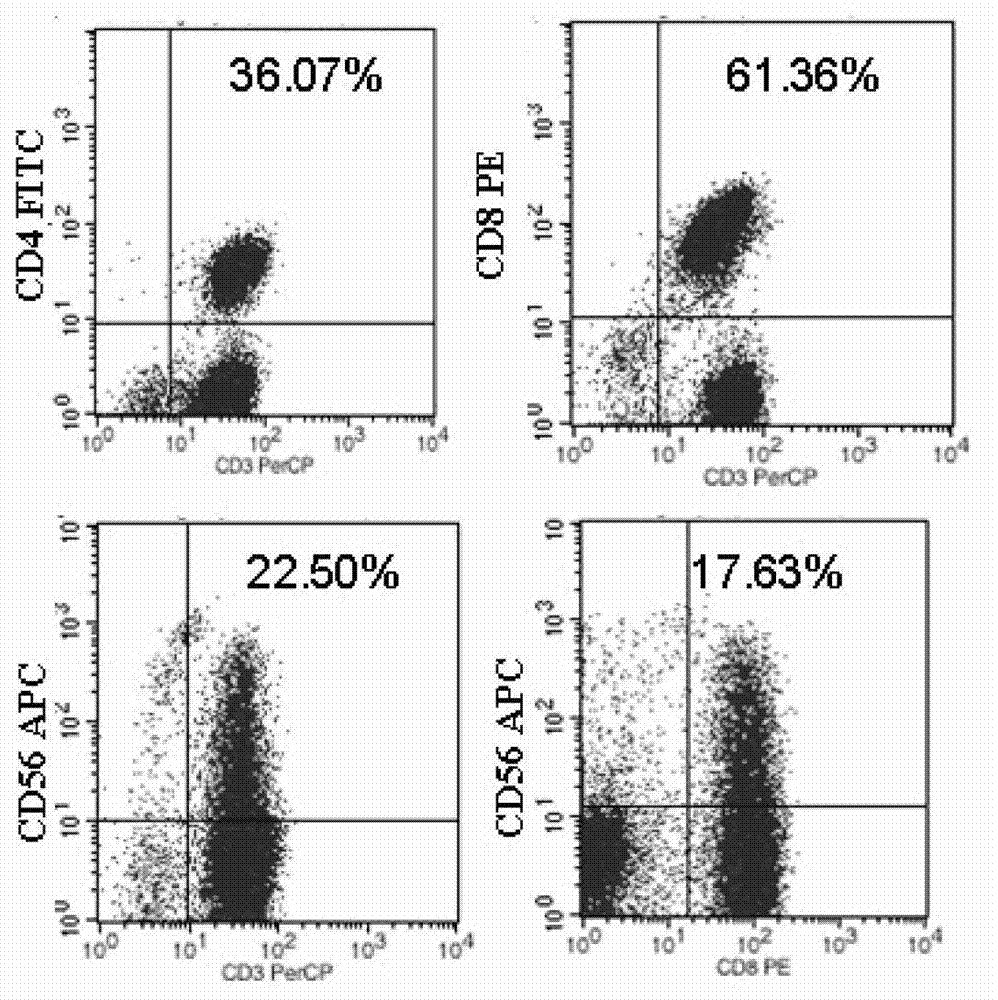 CD3 resistance/CD133 resistance bi-specific antibody and CIK (cytokine-induced killer) cells loaded by CD3 resistance/CD133 resistance bi-specific antibody