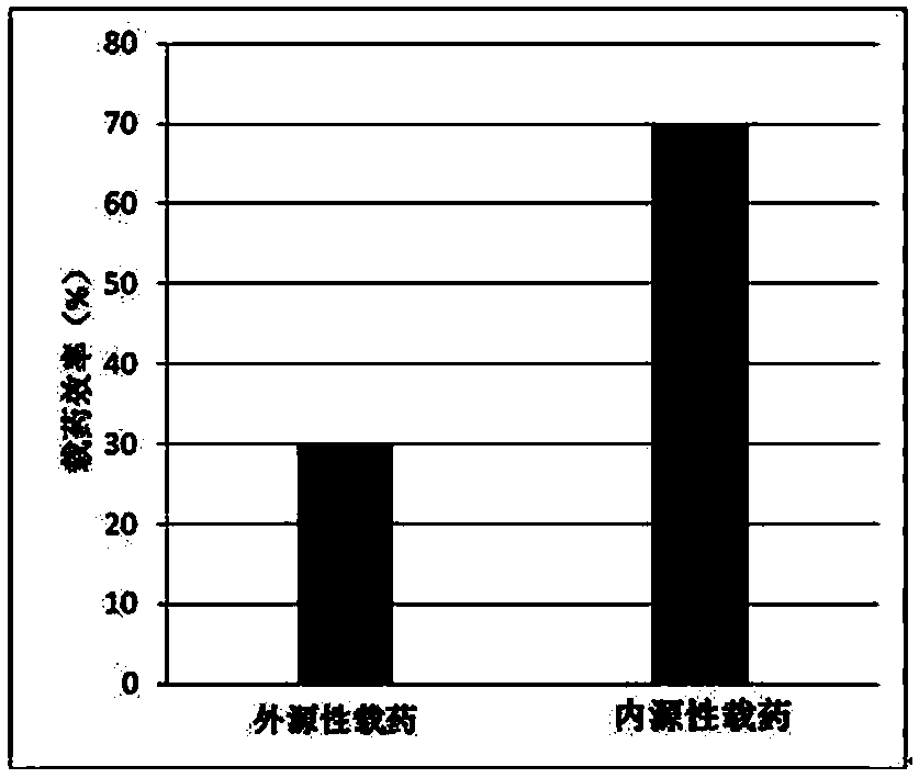 Preparation method and application of endothelial vesicles of Escherichia coli with endogenous high expression of microRNA in anti-tumor drug preparation