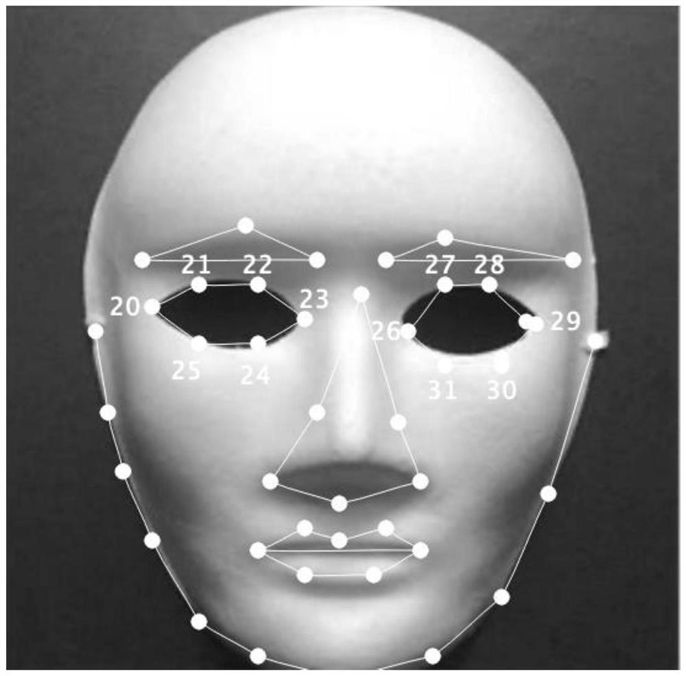 Human face recognition living body detection method for calculating sight line direction based on three-dimensional eyeball model