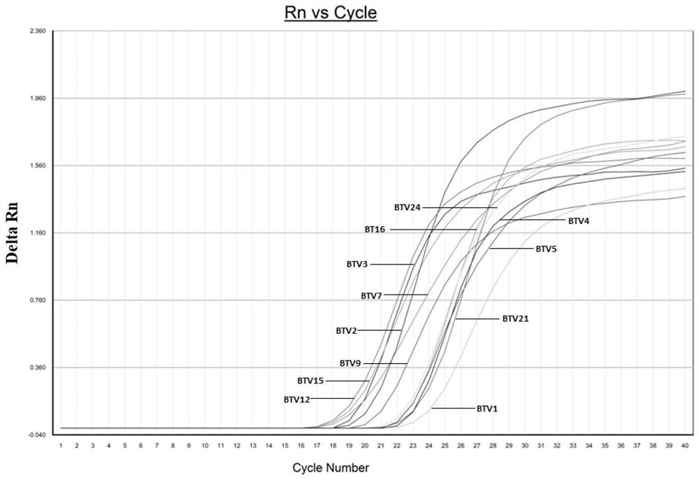 RT-qPCR (Reverse Transcription-Quantitative Polymerase Chain Reaction) detection kit and method for identifying bluetongue virus serotype