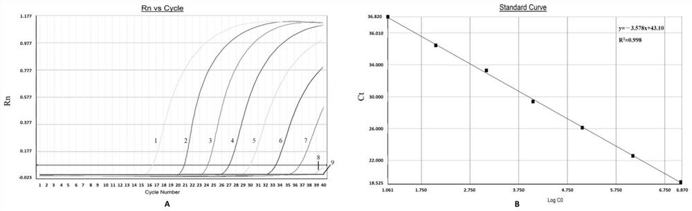 RT-qPCR (Reverse Transcription-Quantitative Polymerase Chain Reaction) detection kit and method for identifying bluetongue virus serotype