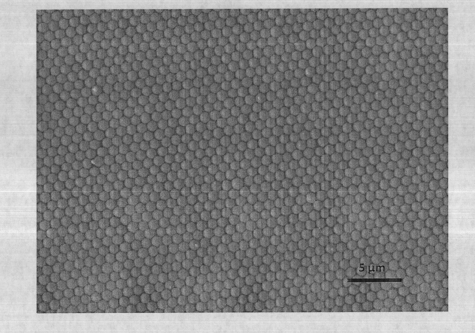 Method for detecting surface enhanced raman spectrum based on interference and diffraction stimulation