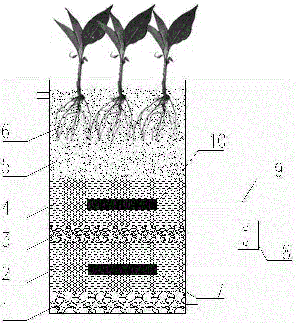 Enhanced denitrification method and device for coupled microorganism electrolytic tank of downstream vertical flow artificial wetland