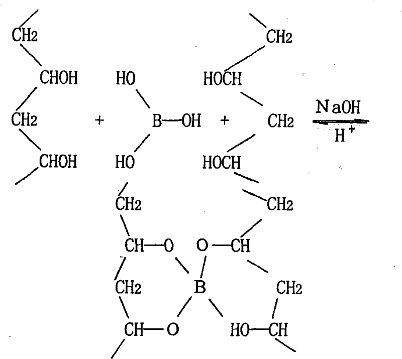 Method for preparing novel hydrophilic and magnetic mesh organism