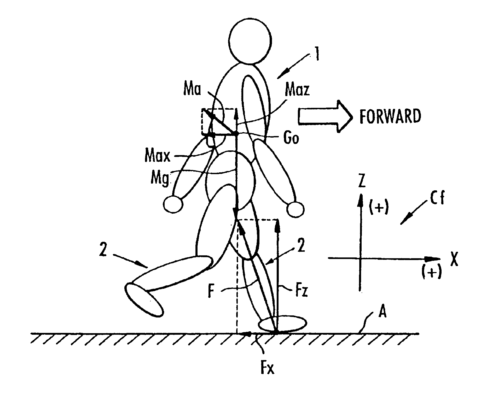 Method of estimating floor reactions of bipedal walking body, and method of estimating joint moments of bipedal walking body
