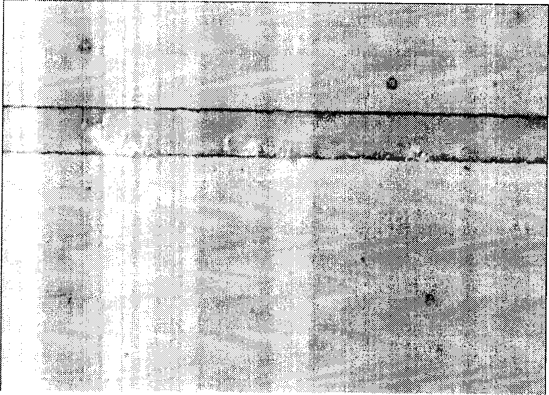 Silver ion use method for erbium waveguide amplifier making process