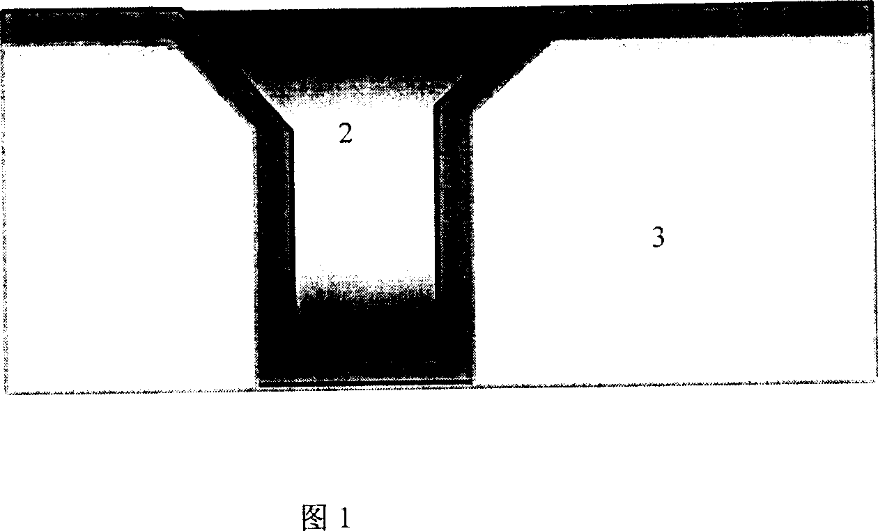 Process for chemical vapor phase depositing titaniam nitride containing silicon using titanium containing organic metal material