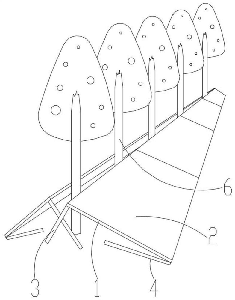 Application method of functional film device and cultivation method of apple trees