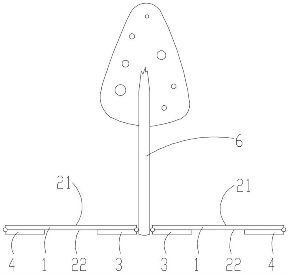 Application method of functional film device and cultivation method of apple trees